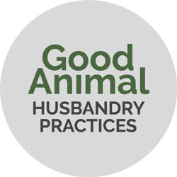 Good animal husbandry practices